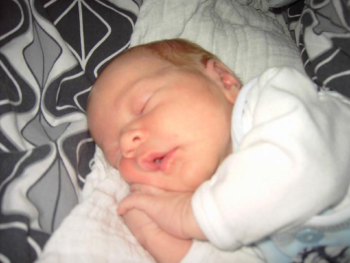 PICT1838.JPG